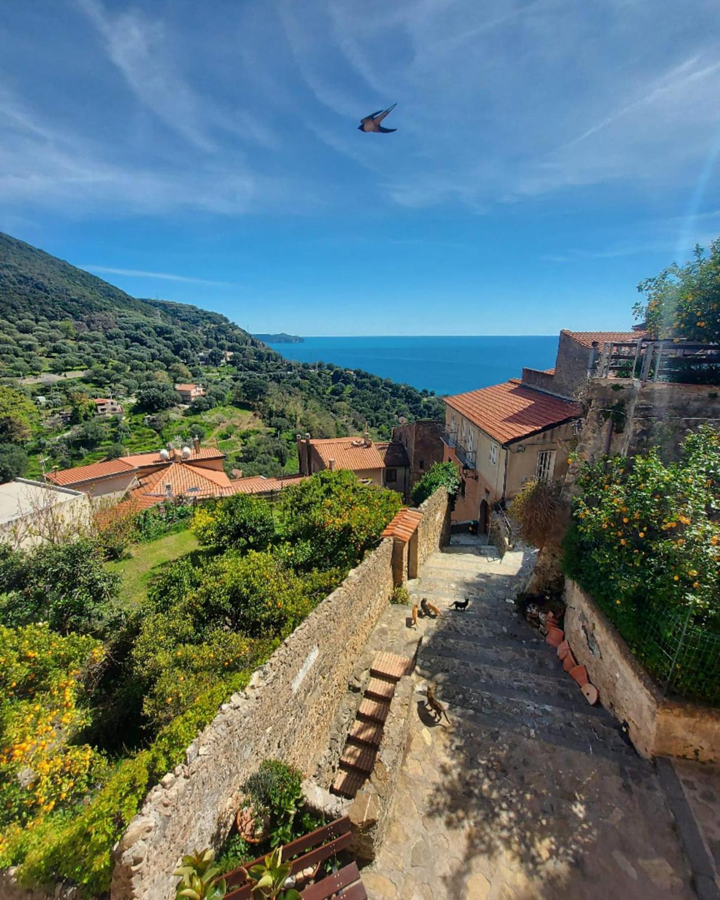 La Casa Sul Blu Albergo Diffuso Pisciotta Luaran gambar